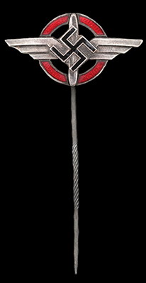 DLV membership lapel pin